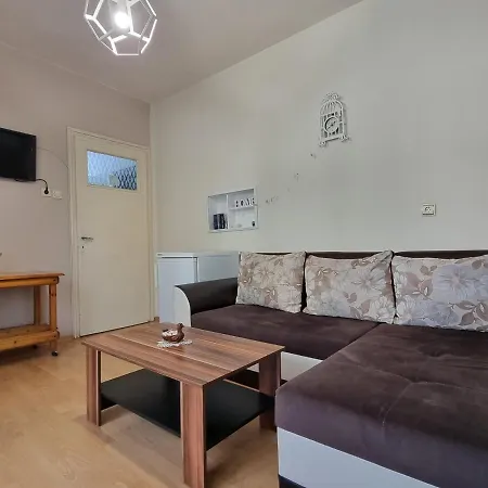 Reni's Apartment-with Private Parking In Center Burgas